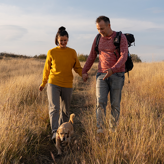Alt du bør vide om Pamol